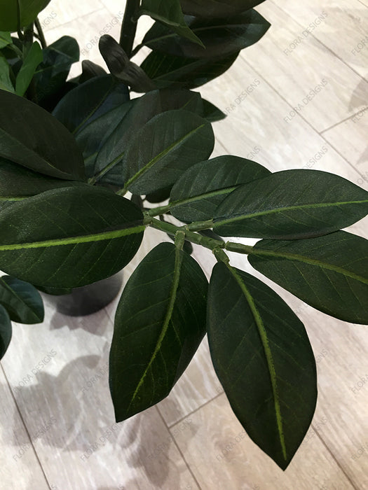 Smargago Potted Plant 66cm