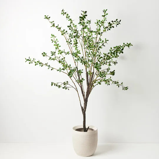 Sondra Pot White 31cm Pack of 2