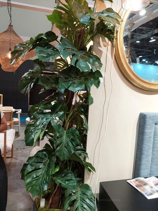 Split-Leaf Philodendron 190cm