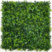 Spring Sensation Hedge Screen Green Wall Panel UV Resistant 100cm x 100cm