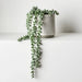 String of Pearls in Pot Grey Green 45cm Pack of 4