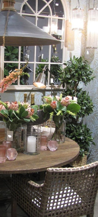 Sweet Bay Triple Ball Topiary Tree 170cm