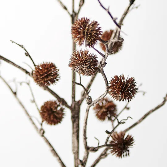 Sycamore Spray 86cm Chocolate Brown Pack of 12