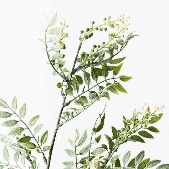 Wattle Leaf Spray Cream 74cm Pack of 12