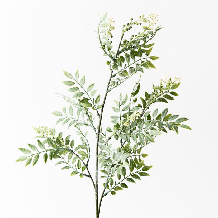 Wattle Leaf Spray Cream 74cm Pack of 12