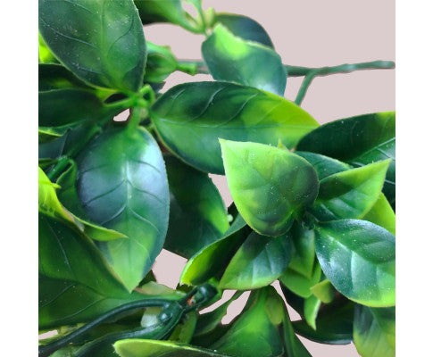 White Flowering Jasmine Stem UV Resistant 30cm