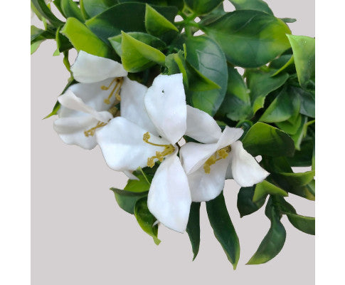 White Flowering Jasmine Stem UV Resistant 30cm
