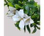 White Flowering Jasmine Stem UV Resistant 30cm