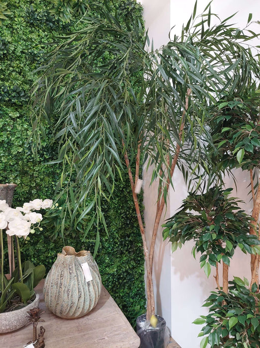 Willow Tree 180cm