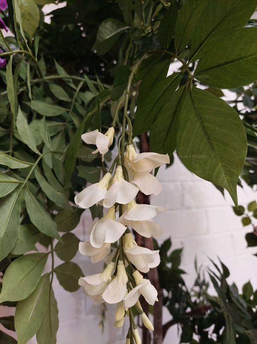 Wisteria Tree White 190cm