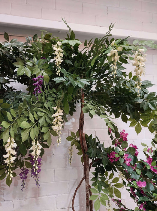 Wisteria Tree White 190cm