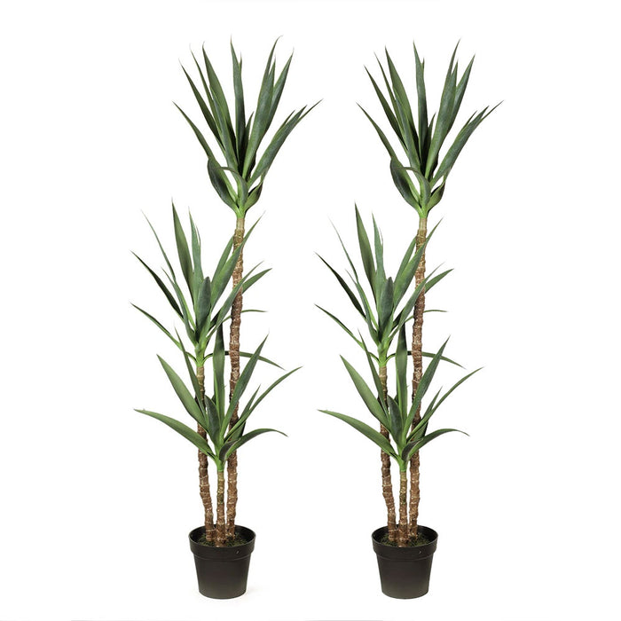 Yucca Plant Green 155cm Pack of 2