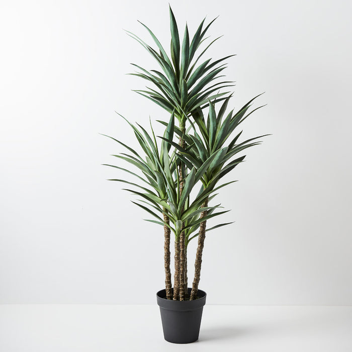 Yucca Plant Green 155cm