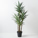 Yucca Plant Green 155cm