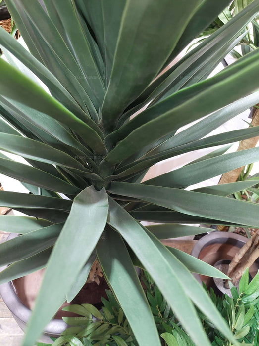 Yucca Plant with Pot 130cm