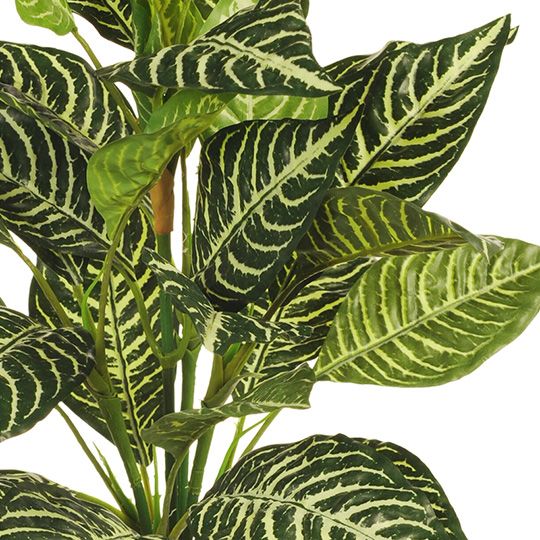 Zebra Bush Green 48cm Pack of 12