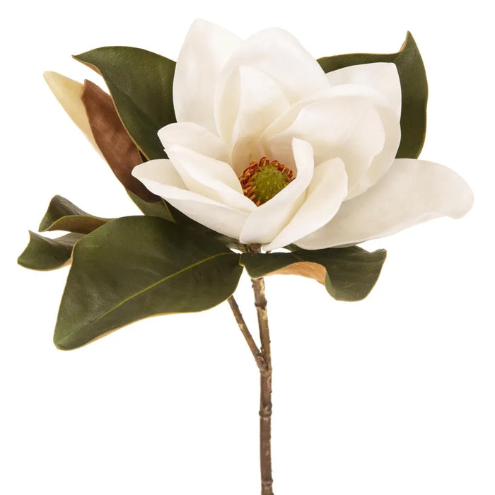 Magnolia Flower White 72cm Pack of 6