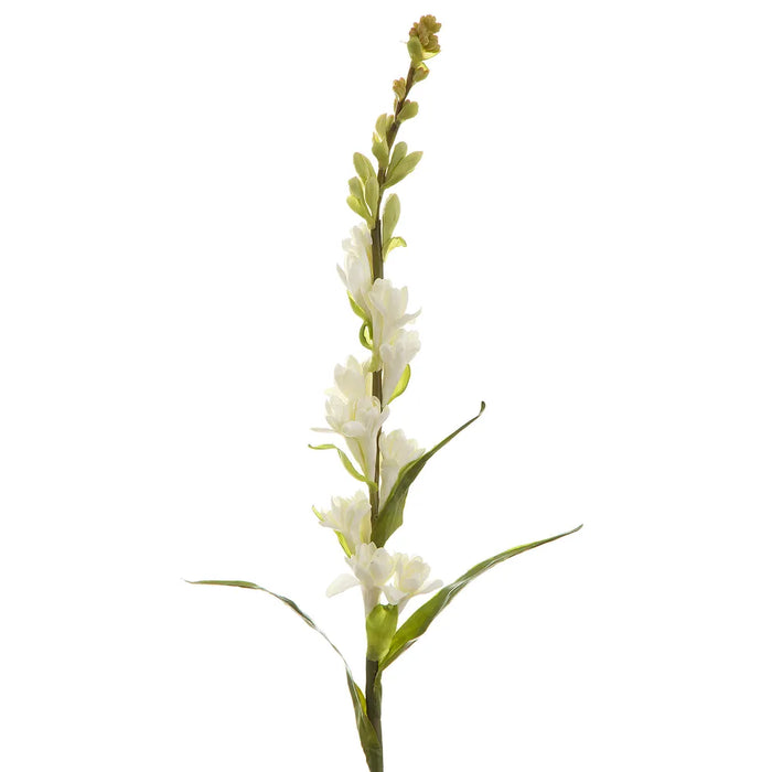 Tuberose Spray Cream 80cm Pack of 12