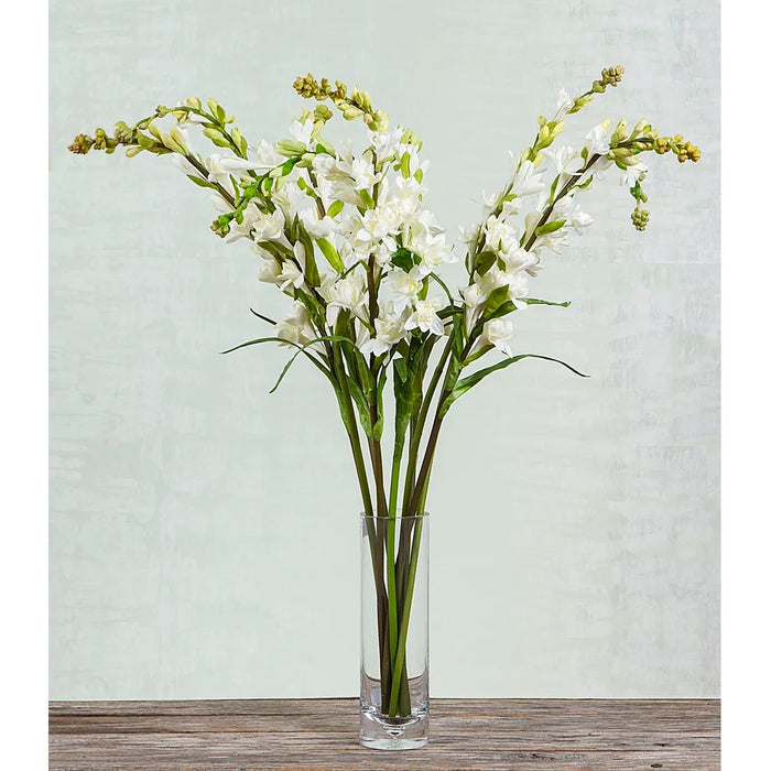 Tuberose Spray Cream 80cm Pack of 12