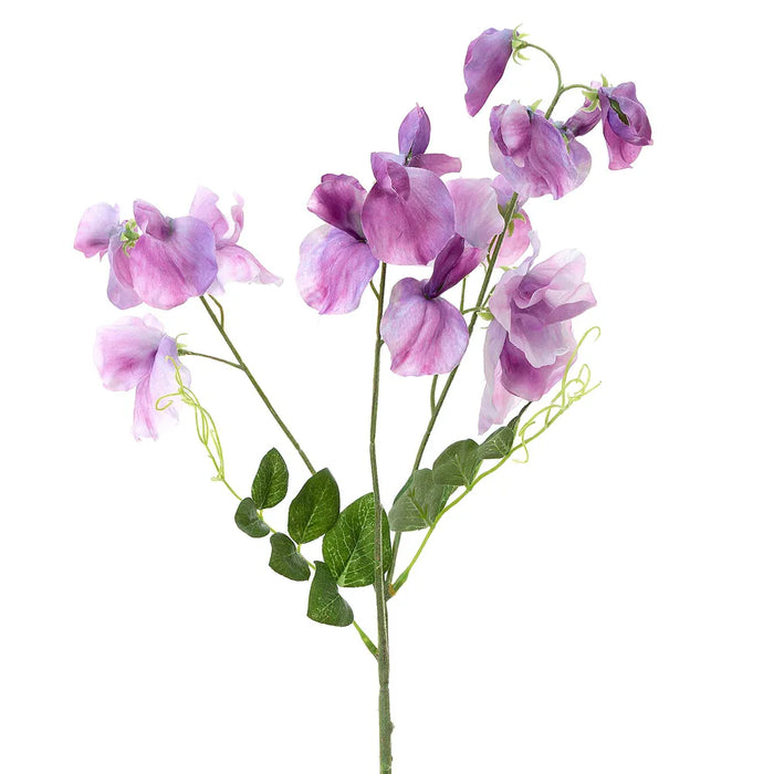 Sweetpea Spray Lavender Purple 70cm Pack of 12