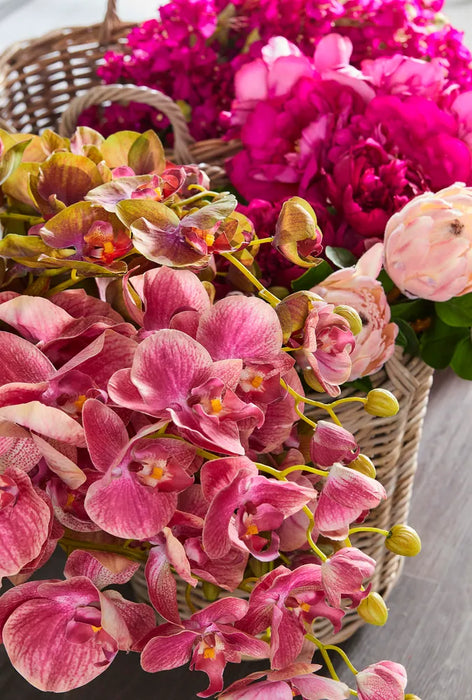 Orchid Phalaenopsis Spray Pink 74cm Pack of 12