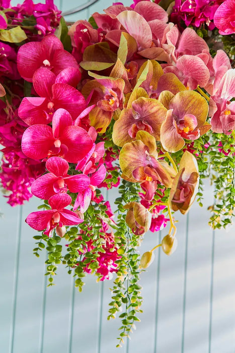 Orchid Phalaenopsis Spray Green 74cm Pack of 12
