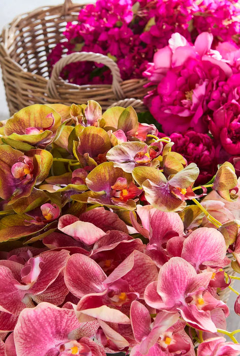 Orchid Phalaenopsis Spray Green 74cm Pack of 12