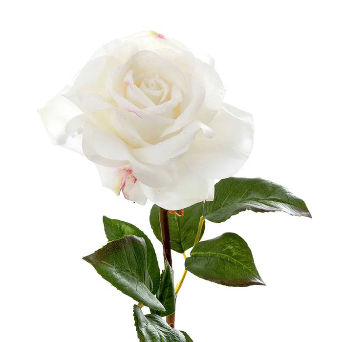 Rose True Touch White 50cm Pack of 12