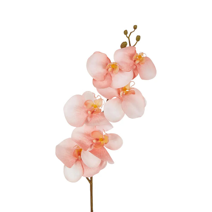 Orchid Single Stem 80cm Coral Orange Pack of 12