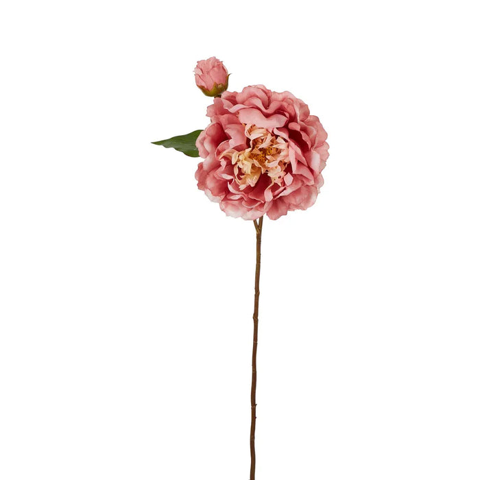 Peony Stem Pink 61cm Pack of 16