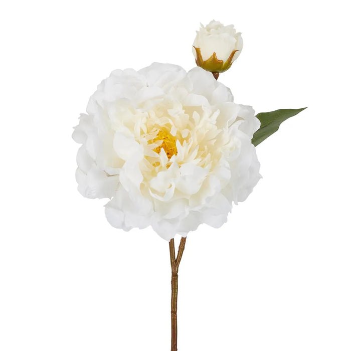 Peony Stem White 61cm Pack of 16