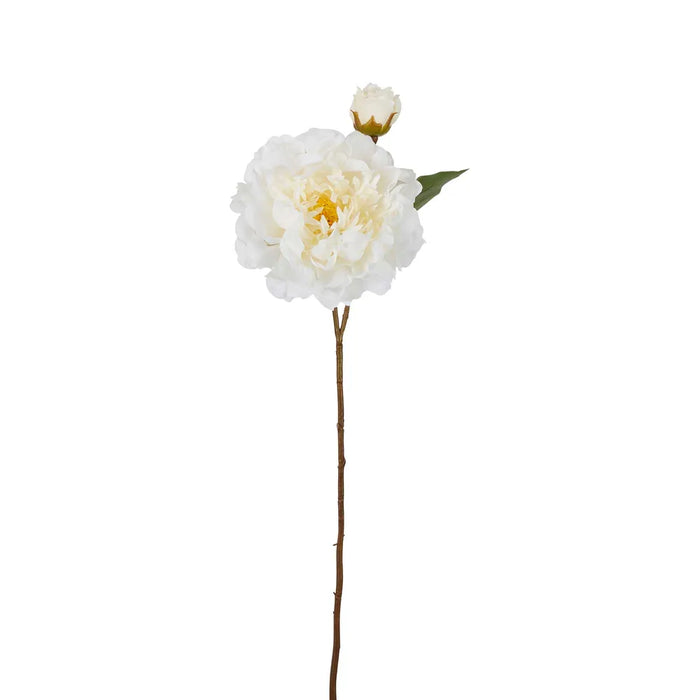 Peony Stem White 61cm Pack of 16