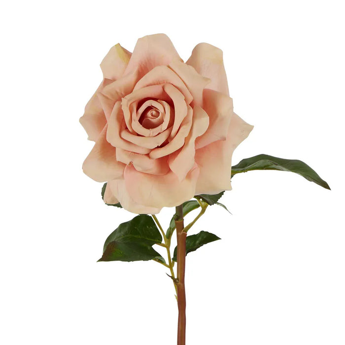 Rose True Touch Blush Pink 50cm Pack of 12