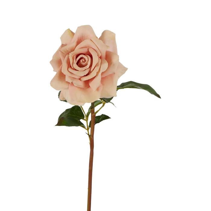 Rose True Touch Blush Pink 50cm Pack of 12