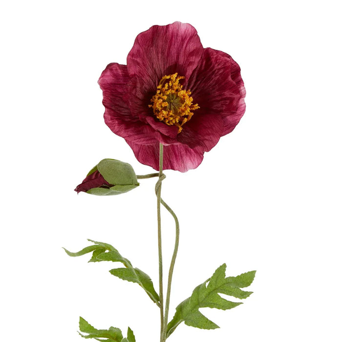 Poppy Stem 68cm Plum Pink Pack of 12