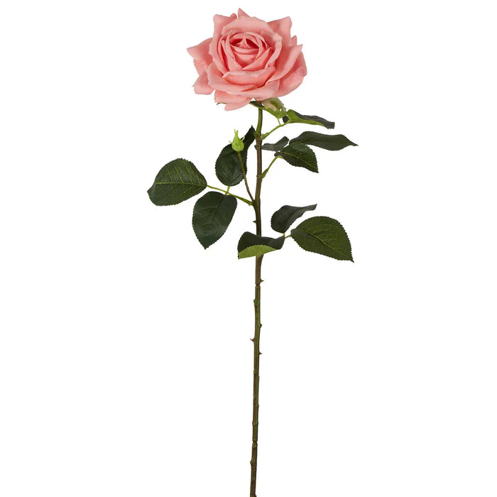 Belle Real Touch Rose Stem Pink 65cm pack of 12