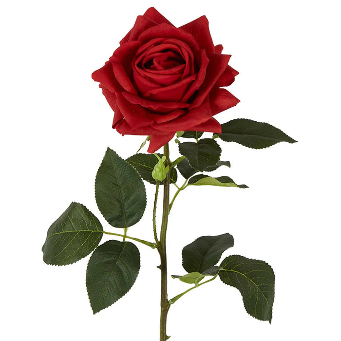 Belle Real Touch Rose Stem Red 65cm Pack of 12
