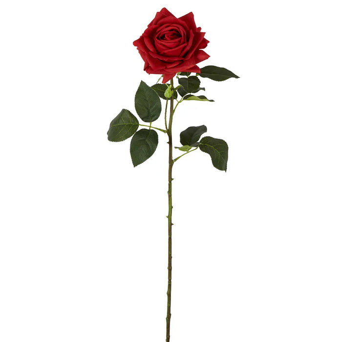 Belle Real Touch Rose Stem Red 65cm Pack of 12