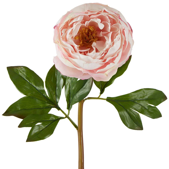 Peony Flower Real Touch Stem Pink Large 62cm Pack of 12