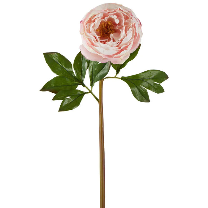 Peony Flower Real Touch Stem Pink Large 62cm Pack of 12