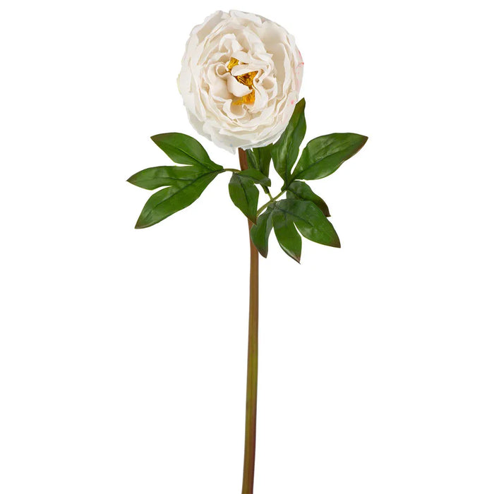Peony Flower Real Touch Stem White Large 62cm Pack of 12