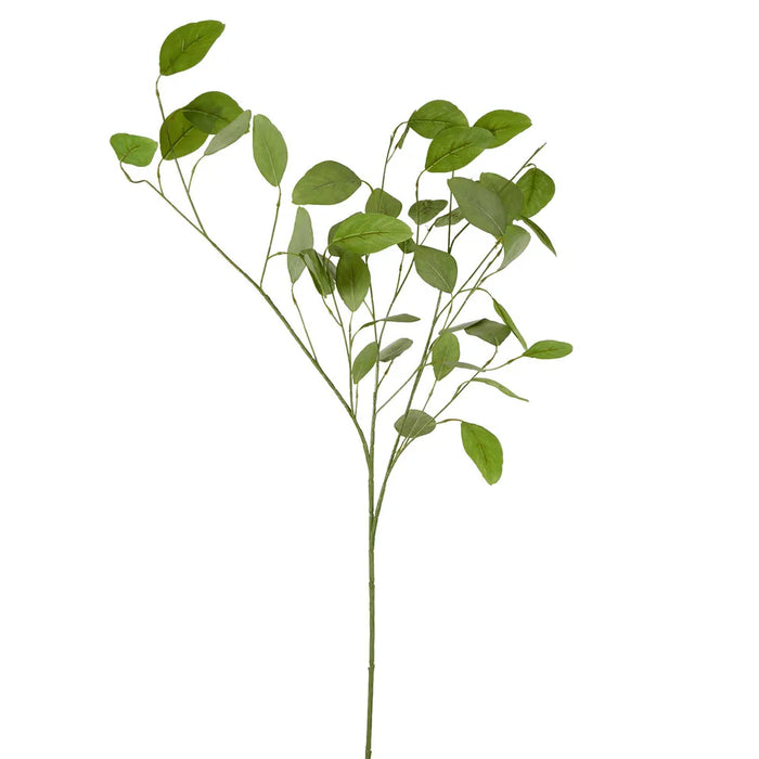 Eucalyptus Seed Spray With 42 Leaves Green 89cm Pack of 12