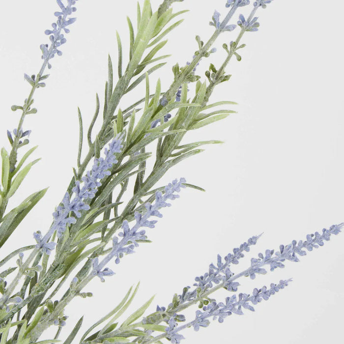 Lavender Spray Purple 55cm Pack of 24