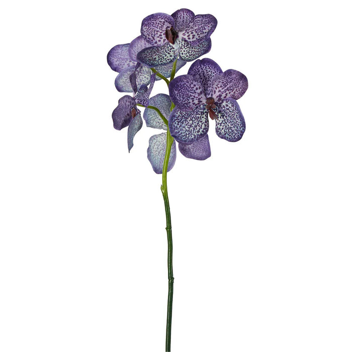 Vanda Orchid Stem Purple 66cm Pack of 6