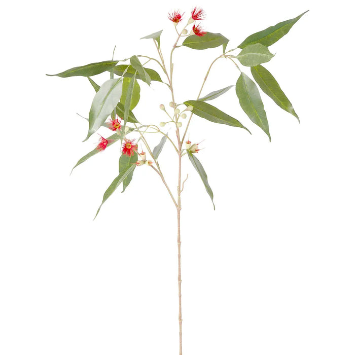 Eucalyptus Flower Spray Red & Green 92cm Pack of 12
