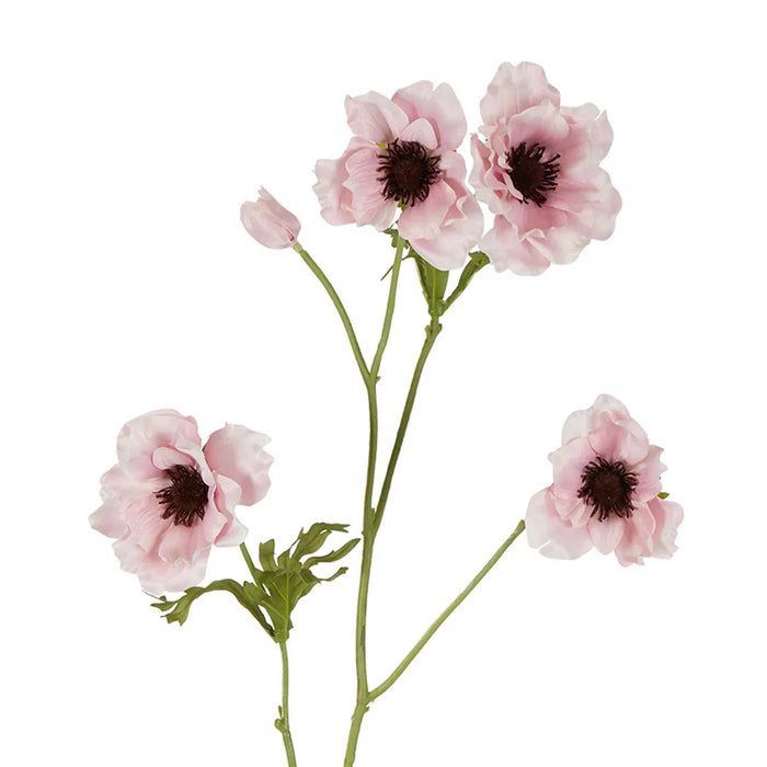 Anemone Stem Pink 90cm Pack of 12