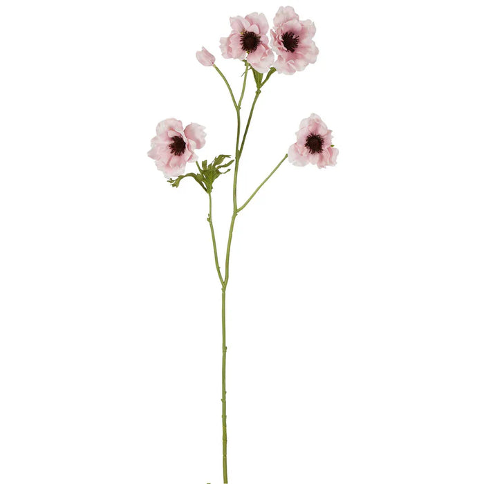 Anemone Stem Pink 90cm Pack of 12