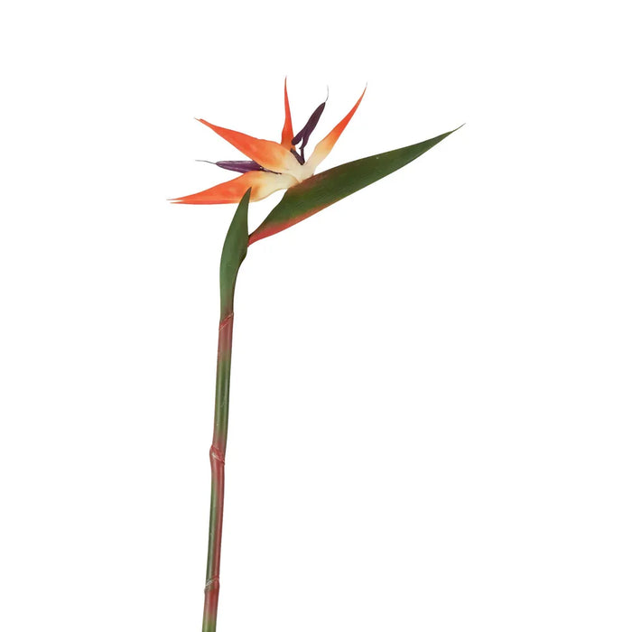 Bird of Paradise Stem Large Green 95cm Pack of 12