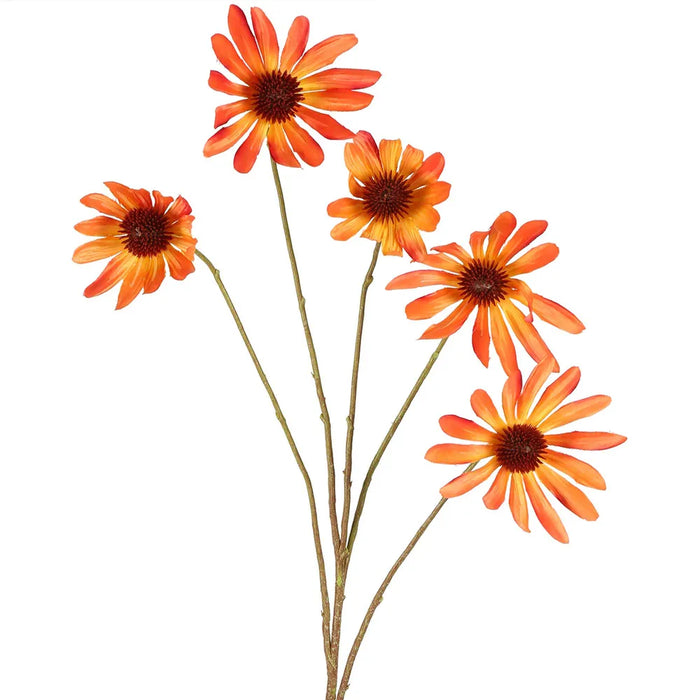 Black Eyed Susan Stem Orange 82cm Pack of 12