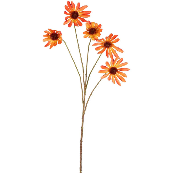 Black Eyed Susan Stem Orange 82cm Pack of 12